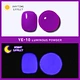 glow dark pigment powder